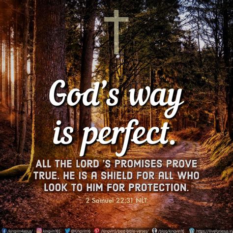 Perfect God .